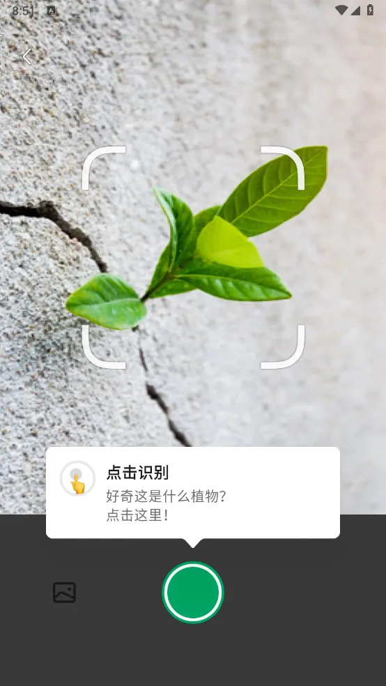 ����ʶ��(ֲ��ʶ������)v5.5.5 ��׿��