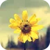 ����ʶ��(ֲ��ʶ������)v5.5.5 ��׿��