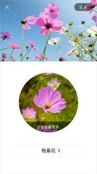 ʶ����2025���ذ�װ