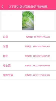����ʶ��2025�ٷ����°汾
