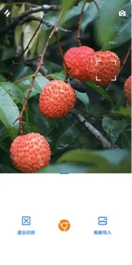 �þ���(���׷������)