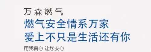 ��ɭȼ��2025���°汾