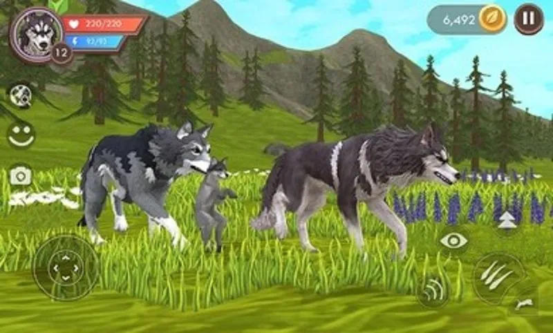 WildCraft2025���°汾v29.1_adreno �ٷ�����