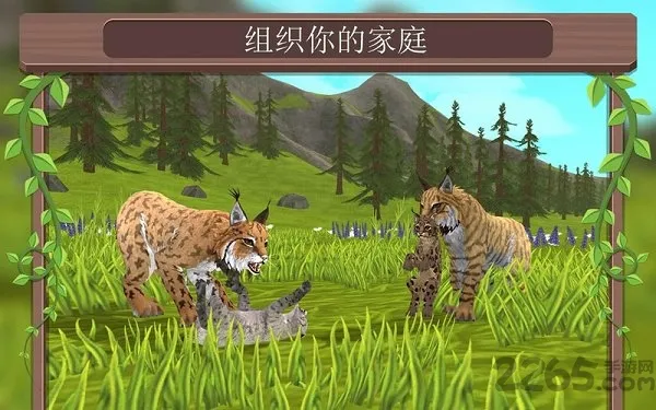 WildCraft2025���°汾v29.1_adreno �ٷ�����