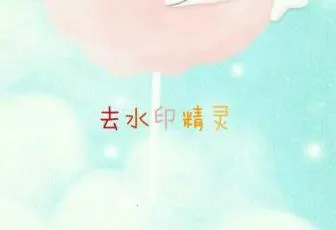 ȥˮӡ����(��Ƶȥˮӡ)