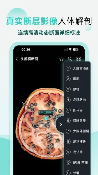����3D���������ֻ���