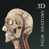 ����3D���������ֻ���v2.7.0 �ֻ���