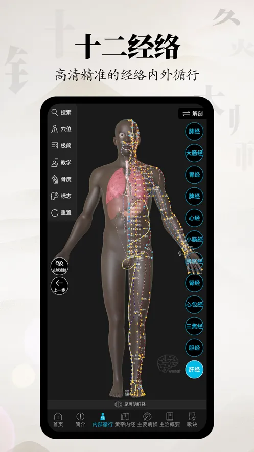��Ĵ�ʦ2025����v3.1.0 �ٷ�����