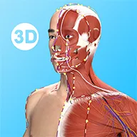 ��Ĵ�ʦ2025����v3.1.0 �ٷ�����