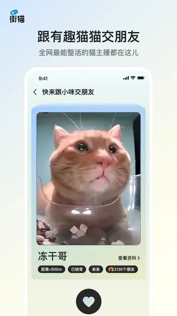��è2025�ٷ����°汾