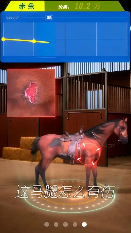 ����Ҳ���(������Ӫ��Ϸ)