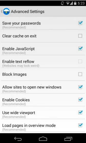 Flash Browser2025�ٷ�����v9.3 �ֻ���