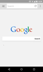 Flash Browser2025�ٷ�����v9.3 �ֻ���