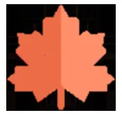 ��Ҷ���ֺ�2025�ٷ����°汾v1.0.1.250430 ��Ѱ�