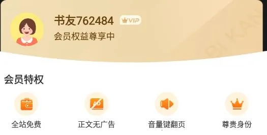 ������С˵2025���°汾