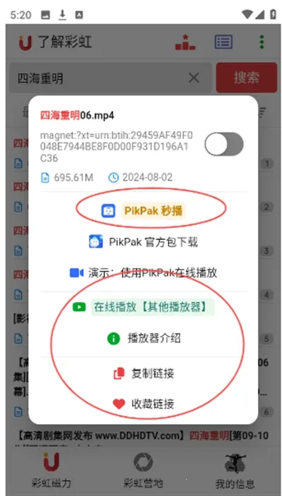 �ʺ����2025���°汾