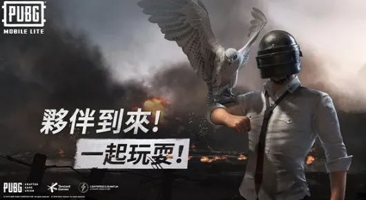 PUBG MOBILE LITE�����ֻ���