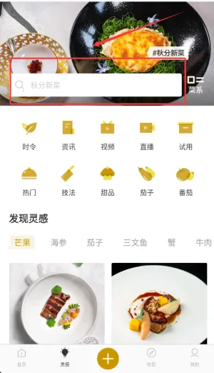 ����(��ʦ����ƽ̨)