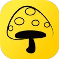 Ģ����(ʵϰ��ҵƽ̨)v4.1.1 �ֻ���