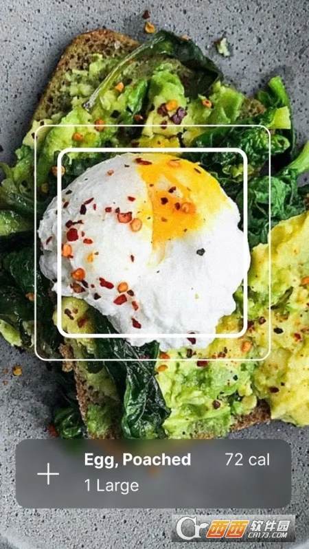 MyFitnessPal2025���°汾v24.14.2 �ֻ���