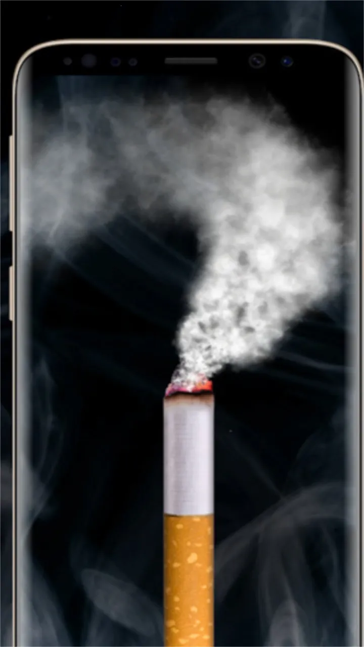 ����ģ����2026�ٷ�����v2.0 �ٷ�����