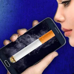 ����ģ����2026�ٷ�����v2.0 �ٷ�����