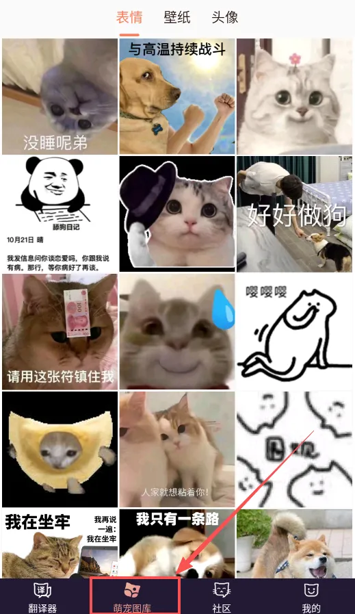 è�﷭������׿���ֻ���