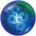 ���ɰ�׿���ֻ���v2.5.0 ��Ѱ�