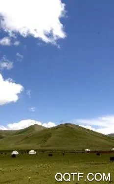 �����2025���°汾