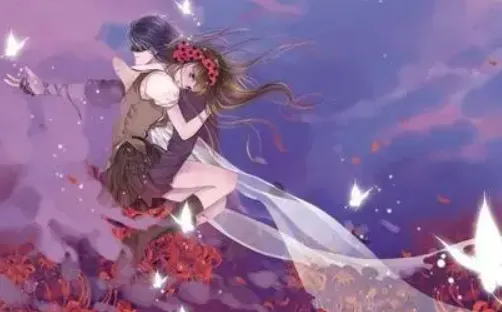 �ֶ�С˵(С˵�Ķ���)