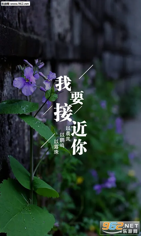 Ϊ��дʫ(ʫ�贴��)v3.9.0 �ٷ�����