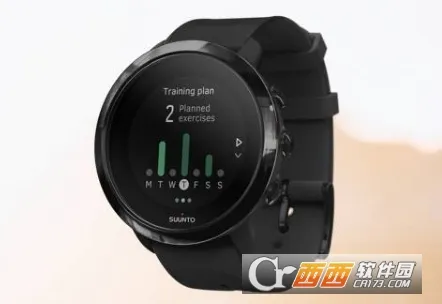 Suunto(�˶���������)