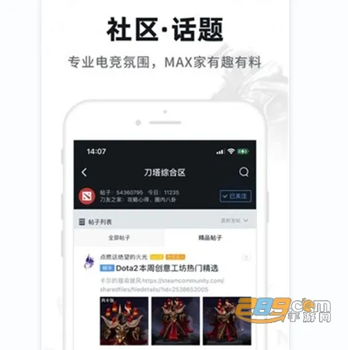 dota2max(�羺����ƽ̨)