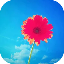 �ǿ���Ƶ��ֽ(��ֽ��������)v202401131 ��׿��