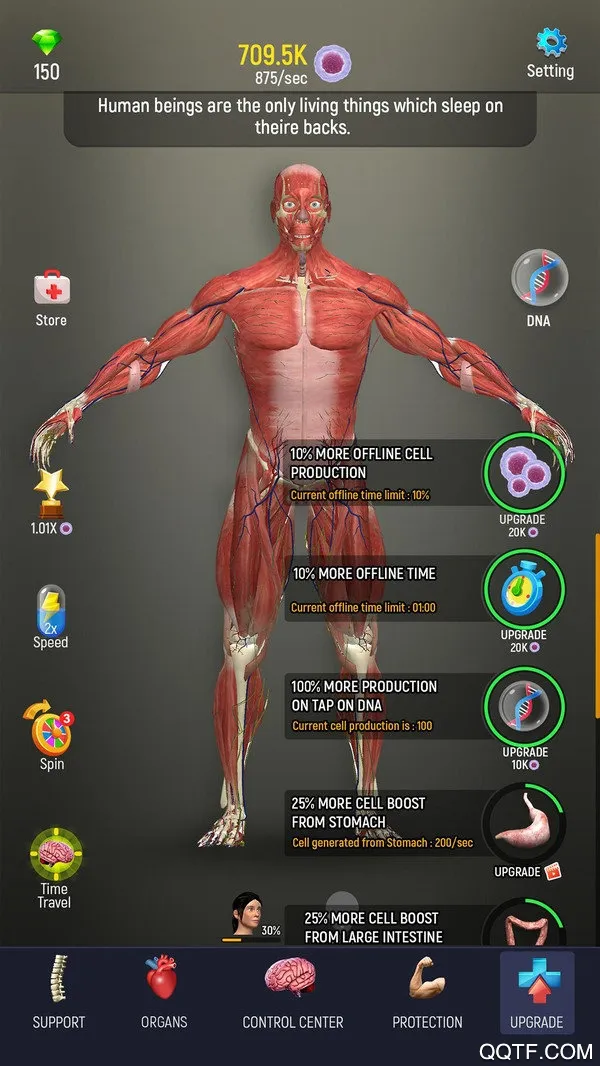 ��������ģ��(����ģ����Ϸ)v1.0 �ٷ�����