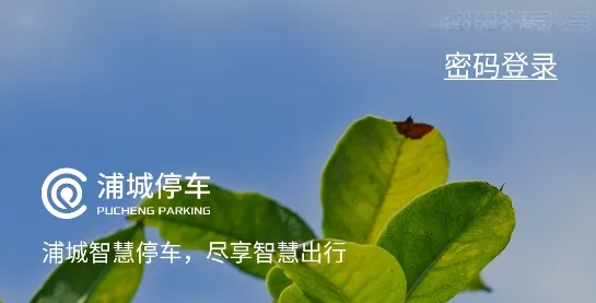 �ֳ��ǻ�ͣ��(�ǻ�ͣ������)