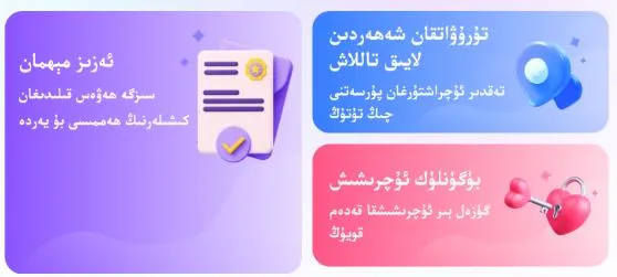 allo2025���°汾