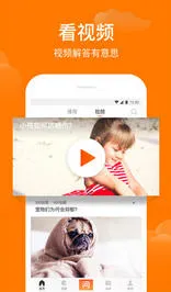 ����ʴ�(�ʴ�׬Ǯƽ̨)v1.9.1 �ٷ�����