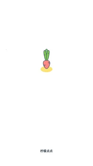 ���ʵ��