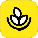 ����決�����ֻ���v1.0.22 �ٷ�����