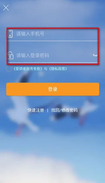 �����߰�׿���ֻ���