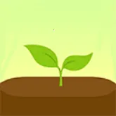 Forestרעɭ��2026���ذ�װv5.7.0 �ٷ�����