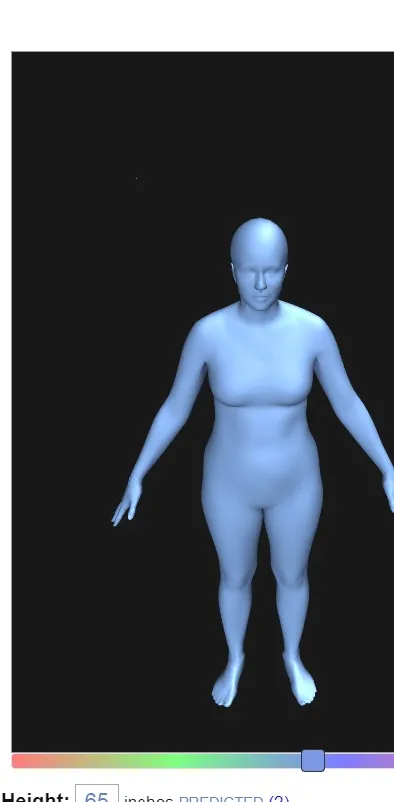BodyVisualizerv3.3.5 �ֻ���